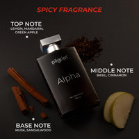 Thumbnail for PILGRIM - Alpha perfume for men 100ml