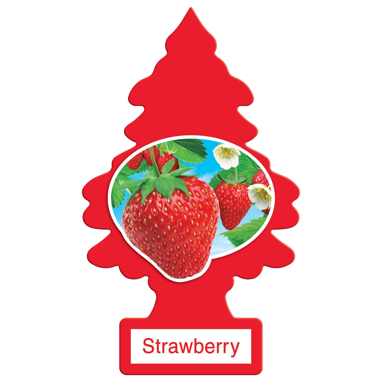 LITTLE TREES-Strawberry-1 piece