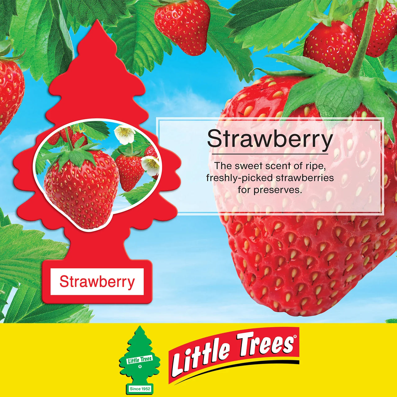 LITTLE TREES-Strawberry-1 piece