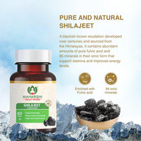 Thumbnail for Shilajeet Rasayana 30gm 60 Tablets | Energy & Vitality Boost