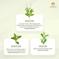 Thumbnail for Tulsi Green Tea Premium | Organic Ayurvedic Blend 30gm