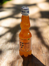 Thumbnail for BUBBLY - Orange Fizz Goli Soda 250ml (Pack of 6 Pcs)